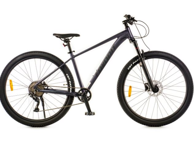 Велосипед Favorit RANGER-29HDA, RNG29HD17GR-AL